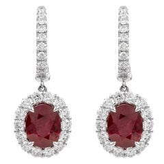 Alexander Beverly Hills Orecchini con diamanti e rubino birmano ovale GIA 4,91ct 18k
