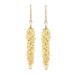 18 Karat Gold 34.56 Carat Fancy Diamond Briolette Drop Earrings