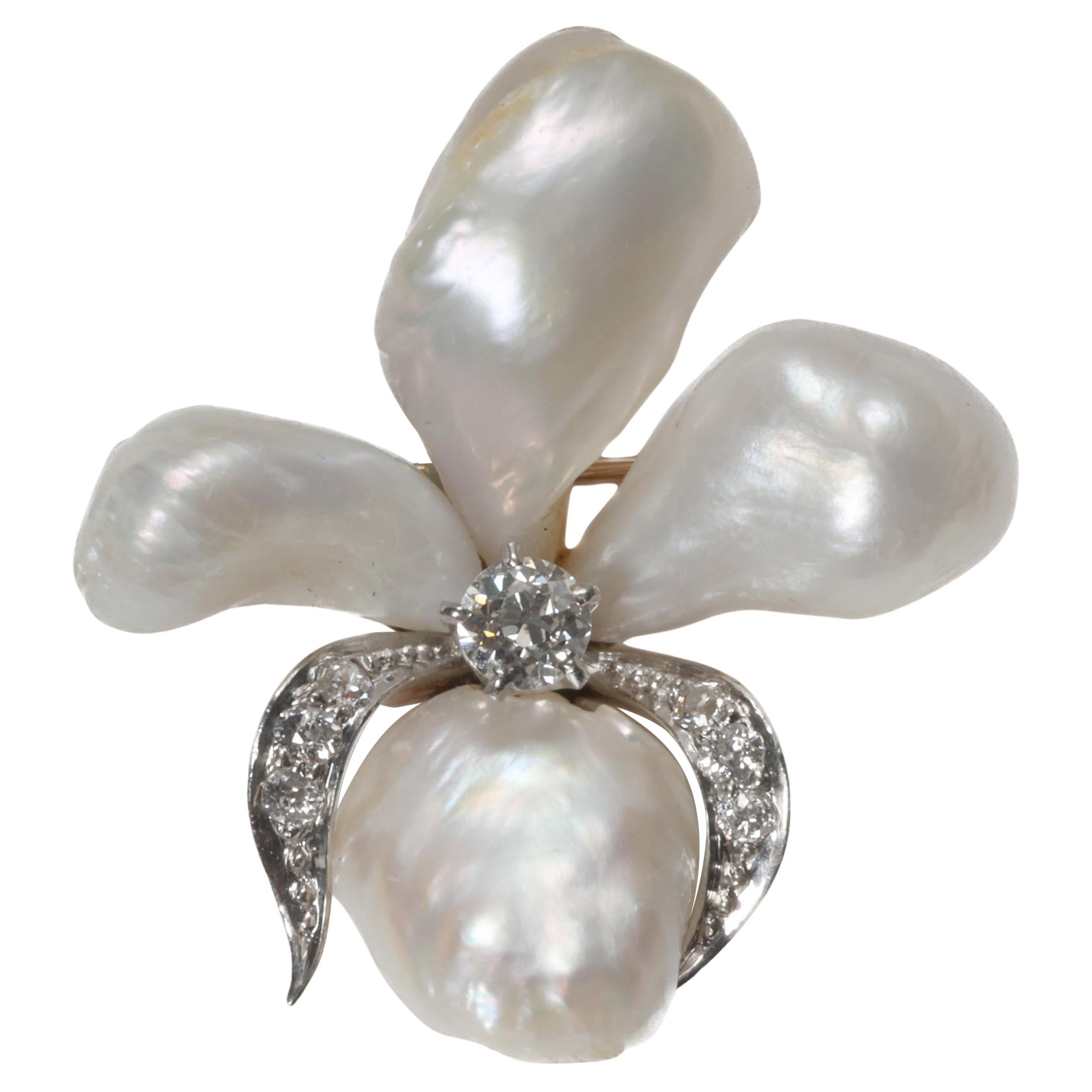 Natural Pearl & Diamond Brooch Shaped like an Iris. Incredible Quality. For Sale