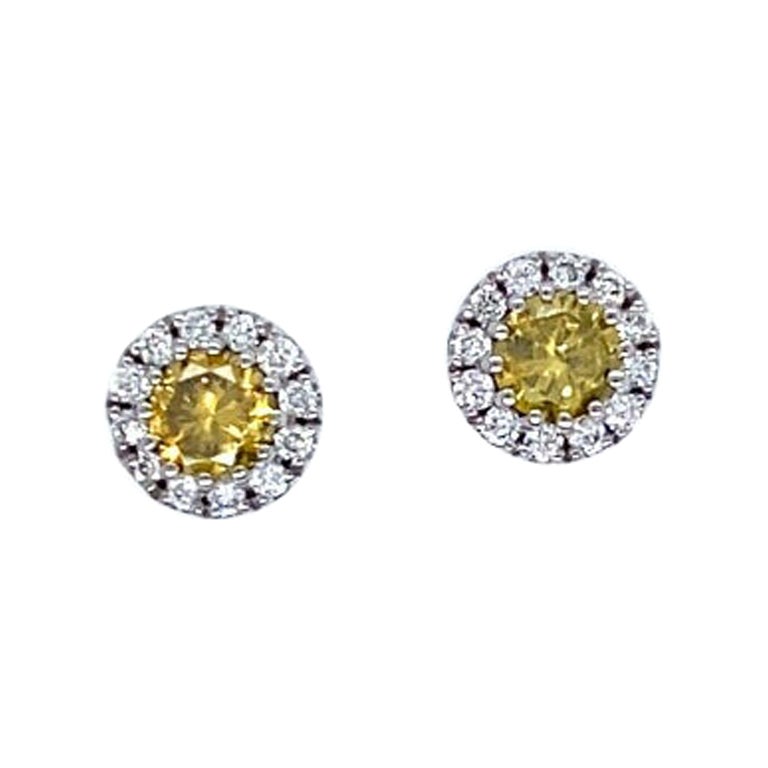 Intense Yellow Diamond Earrings Surrounded by 0.16ct G/VS White Diamonds For Sale
