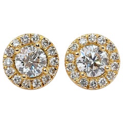 Elegant 18 kt. Yellow Gold Earrings with 1.5 ct Natural Diamond GIA Certificate