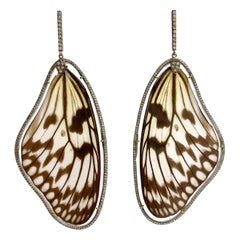  Boucles d'oreilles Paradizia en forme d'ailes de papillon naturelles avec diamants