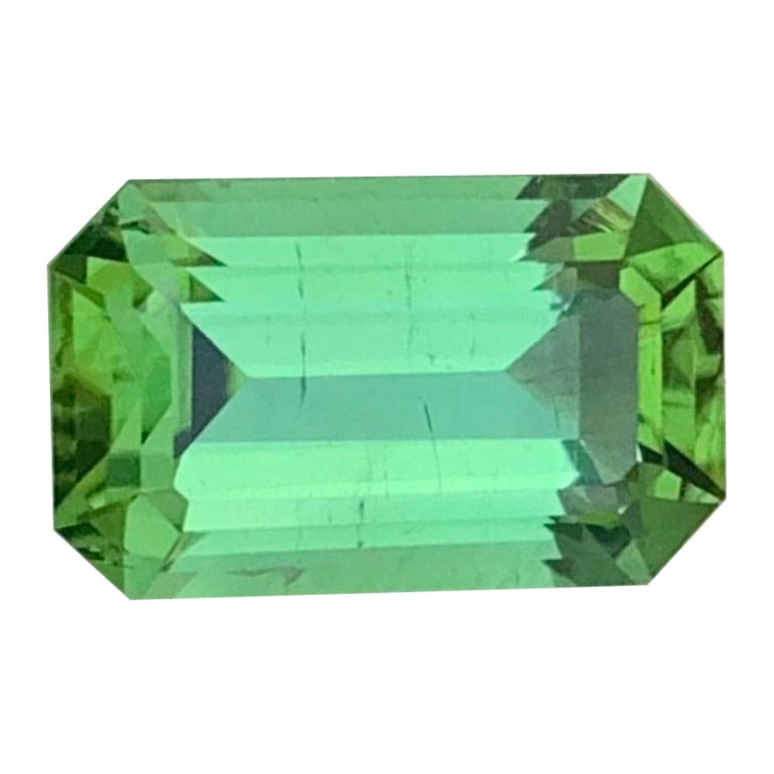 2.60 Carats Natural Loose Green Tourmaline With Lagoon Shade Emerald Shape For Sale