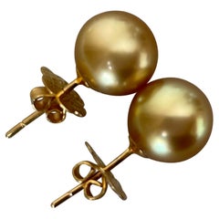 AAA quality Rare Intense Gold Cultured South Sea Pearl Earring 