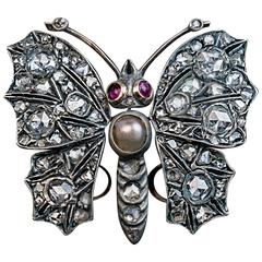 Antique Victorian 19th Century Diamond Butterfly Brooch Pendant
