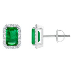 Natürliche Smaragd-Ohrstecker mit Diamant-Halo aus 14 Karat Weißgold (6x4 mm)