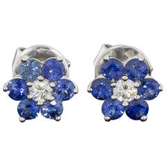 18 Karat White Gold Blue Sapphire and Diamond Flower Stud Earrings