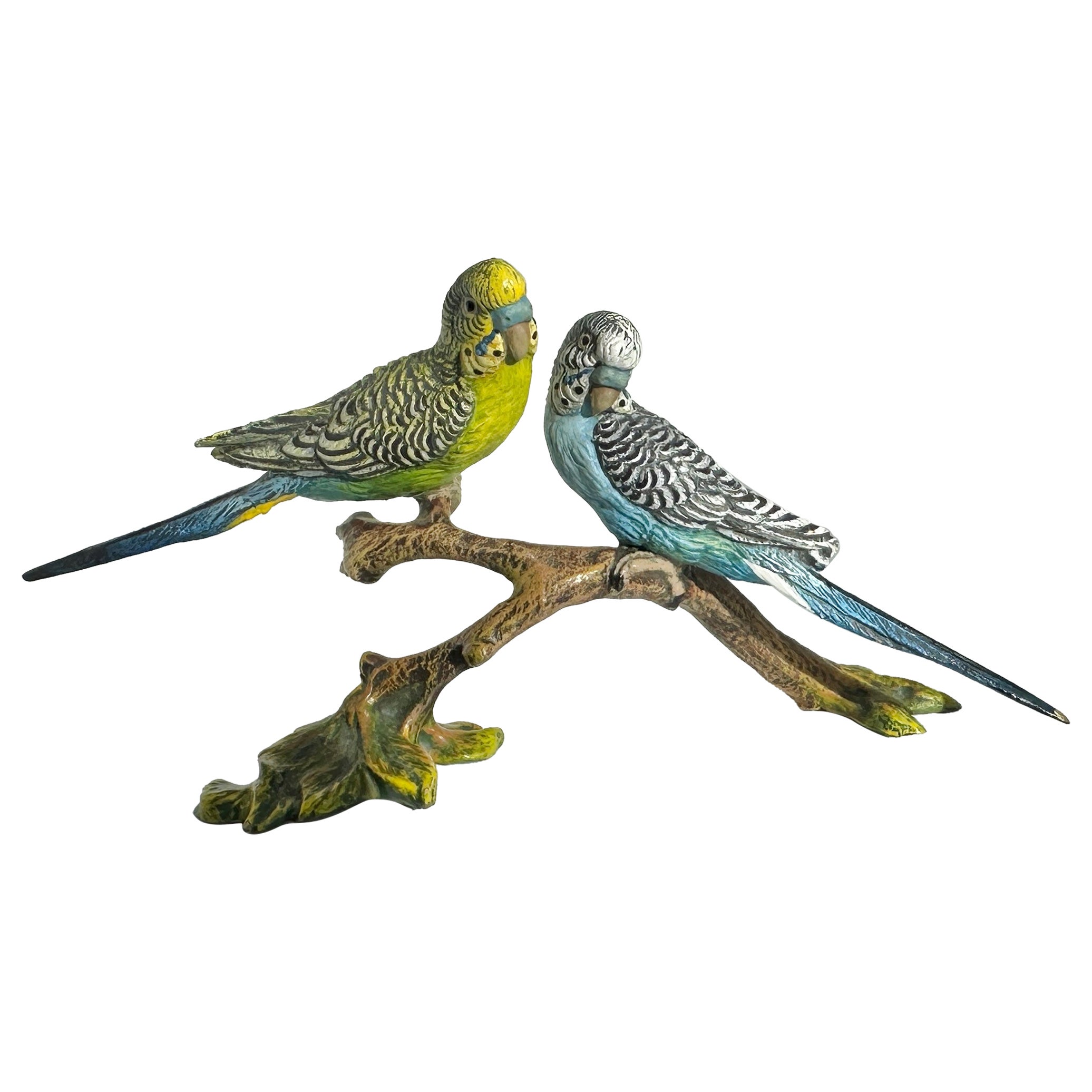 Two Parakeet Birds on Branch Bergman Austrian Vienna Bronze Parakeets Lovebird For Sale