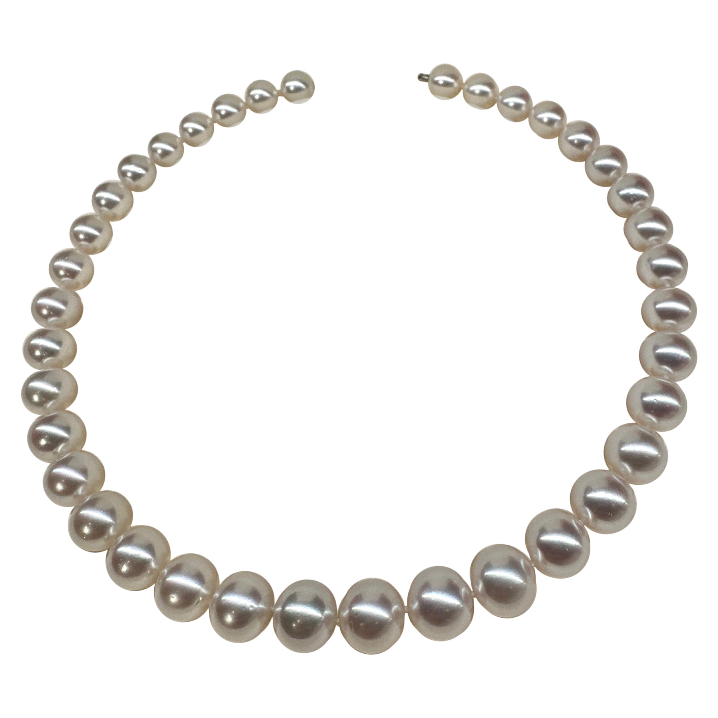 Eostre Australian South Sea  Pearl Strand Necklace For Sale