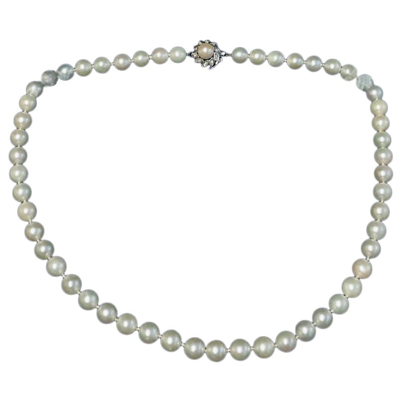 Collana di perle in vendita