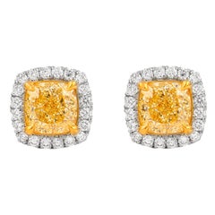 Alexander GIA 3.35ct Fancy Yellow Cushion Diamond with Halo Stud Earrings 18k