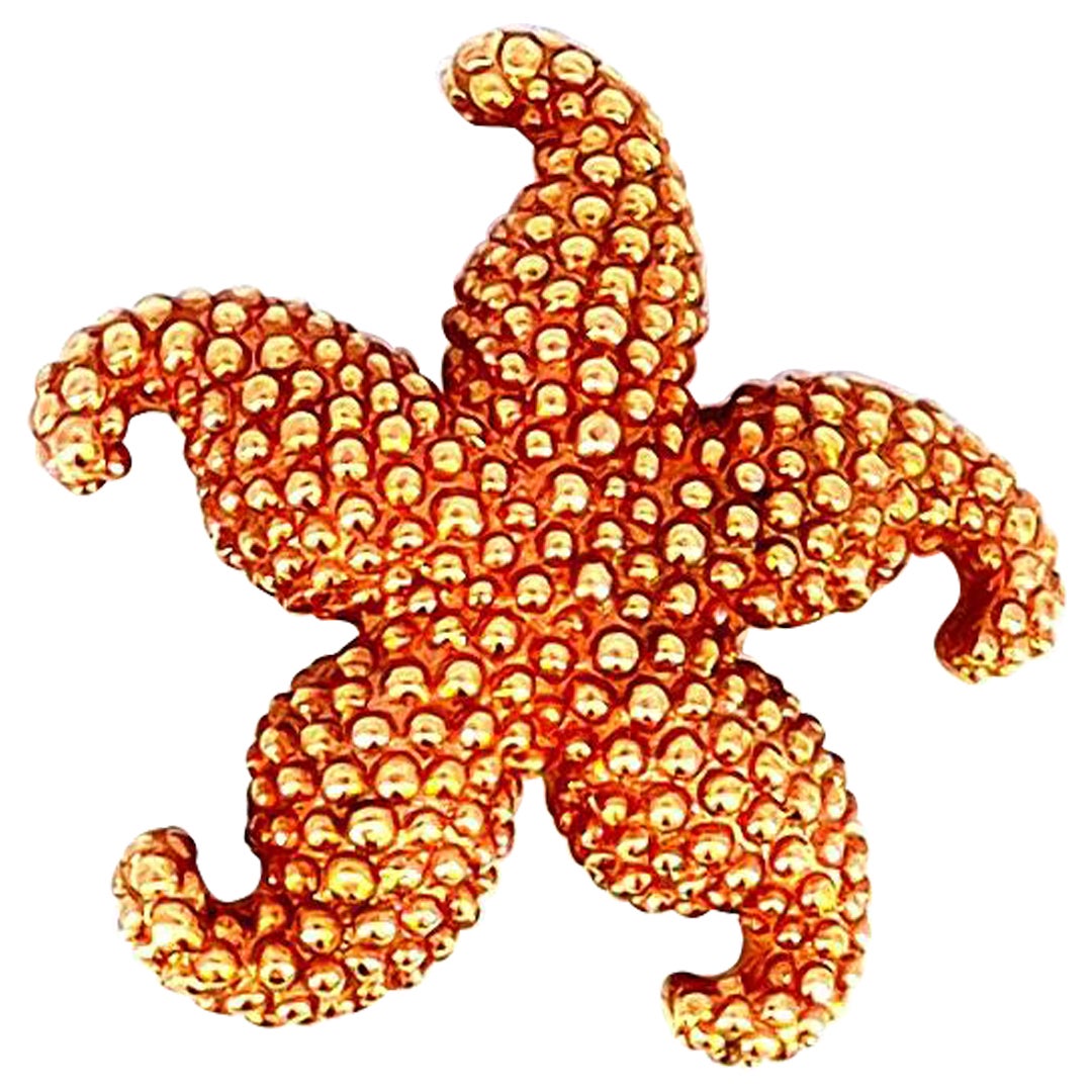 Broche Estrella Antiguo Oro Amarillo 14K