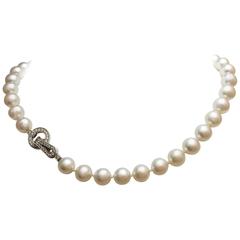 Exceptional South Sea pearl Cartier necklace. 12