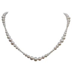 Graduated White Pearl Necklace with 14k Yellow Gold Clasp