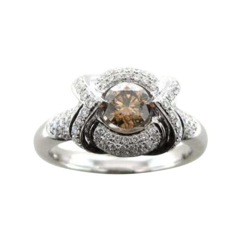Ring mit schokoladenbraunen Diamanten und Vanilla-Diamanten in 18 Karat Vanilla-Gold gefasst 