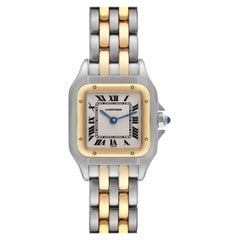 Cartier Panthere Steel Yellow Gold Two Row Ladies Watch W25029B6