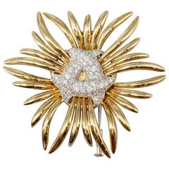 VERDURA Diamond Gold Ray Brooch 5