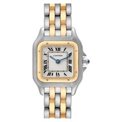 Cartier Panthere Steel Yellow Gold Two Row Ladies Watch W25029B6