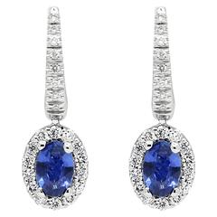 Ferrucci Blue Sapphire and Diamond Dangling Earrings