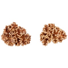 Egger, Denmark. Pair of "Flora Danica" ear clips in gold-plated sterling silver