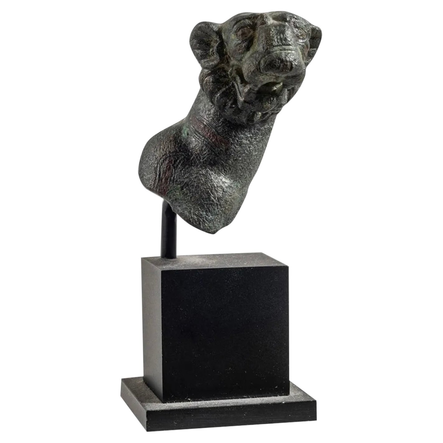 Ancient Roman Bronze Tiger circa 1st-2nd century AD Guarantee Rare For Sale