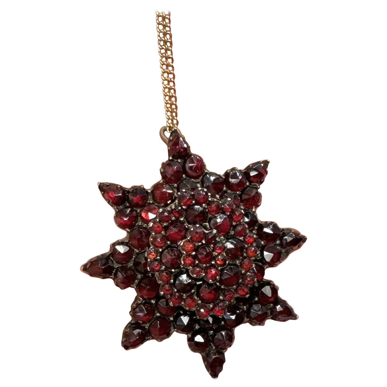 Victorian Bohemian Garnet Locket Pendant Necklace and Brooch Star Belle Epoque For Sale
