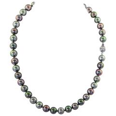 Tahitian Pearl and Gold Necklace