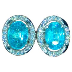Neon Paraiba blue color 925 CZ silver Apetite earrings 