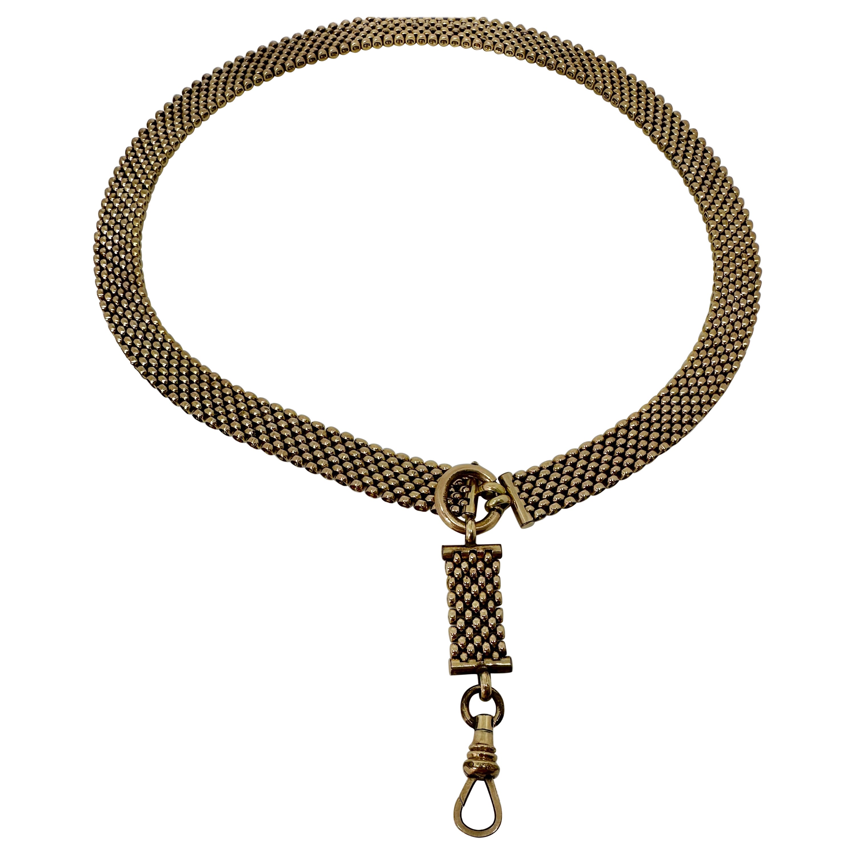 Chaîne collier, clip de médaillon ou pendentif victorien ancien pour médaillon ou chien, circa 1870