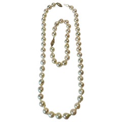 A Pearl Necklace and Bracelet set of Cultured Salt Water Pearls.