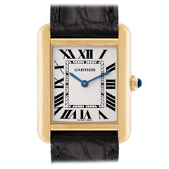 Cartier Tank Solo Small Yellow Gold Steel Silver Dial Ladies Watch W1018755