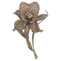 Broche florale en or blanc 18 carats et rhodium noir avec diamants de champagne