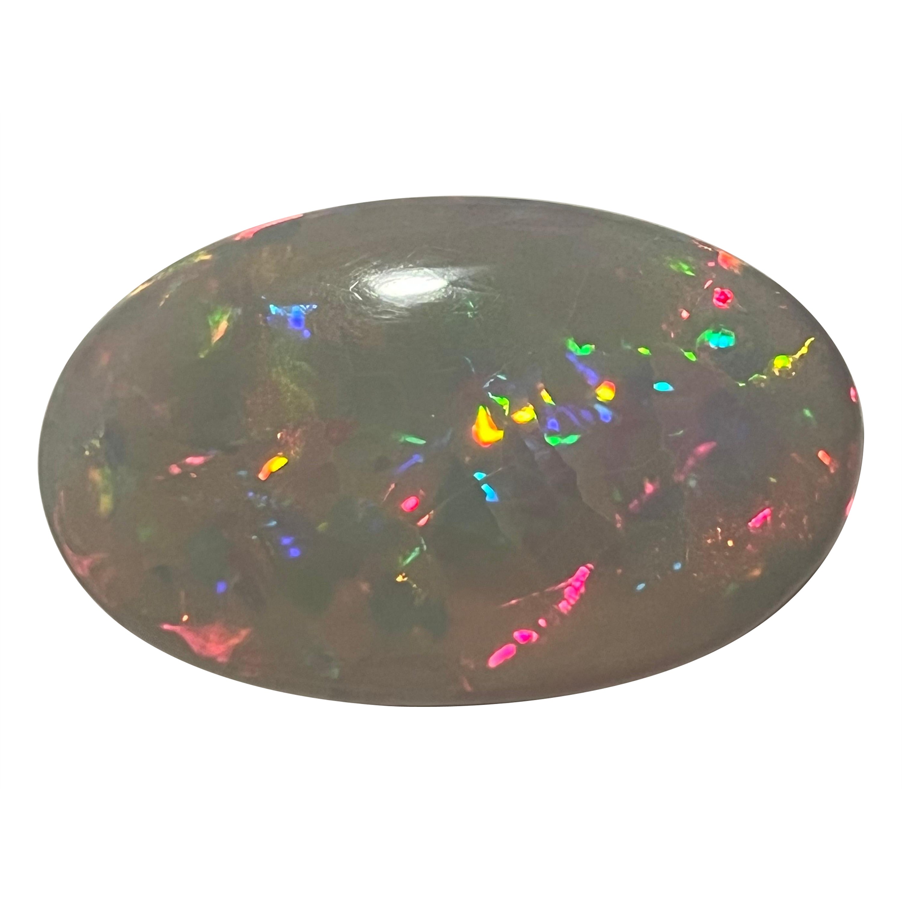 72,30 Karat Ovalform Natürlicher Opal Loser Edelstein  im Angebot