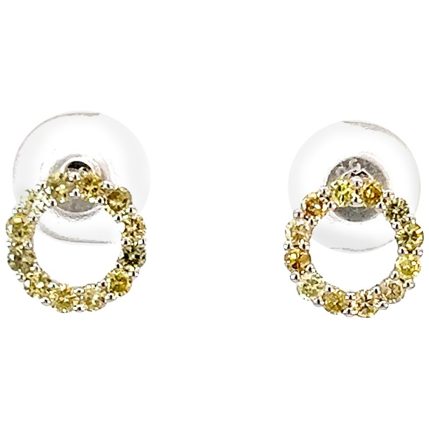 14k Yellow Gold Multi Fancy Color .49 Carat Diamond Round Earring Stud For Sale