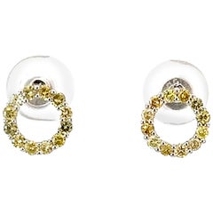 14k Yellow Gold Multi Fancy Color .49 Carat Diamond Round Earring Stud