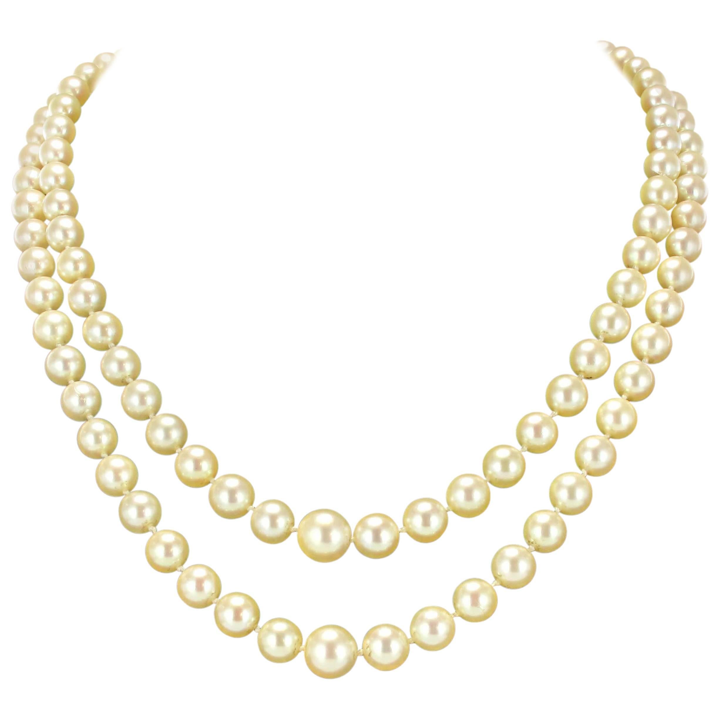 Two Strand Japanese Cultured Round White Pearl Necklace 