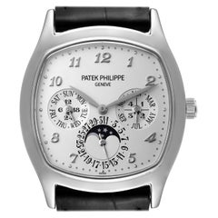Patek Philippe Complications Perpetual Calendar White Gold Watch 5940 Box Papers