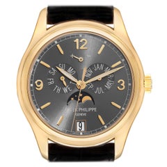 Patek Philippe Complications Annual Calendar Montre homme en or jaune 5146J