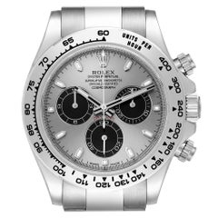 Rolex Daytona White Gold Silver Dial Mens Watch 116509 Box Card