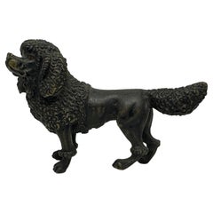 Antique Poodle Dog Austrian Vienna Bronze Circa 1900 Miniature Cold Painted Bronze