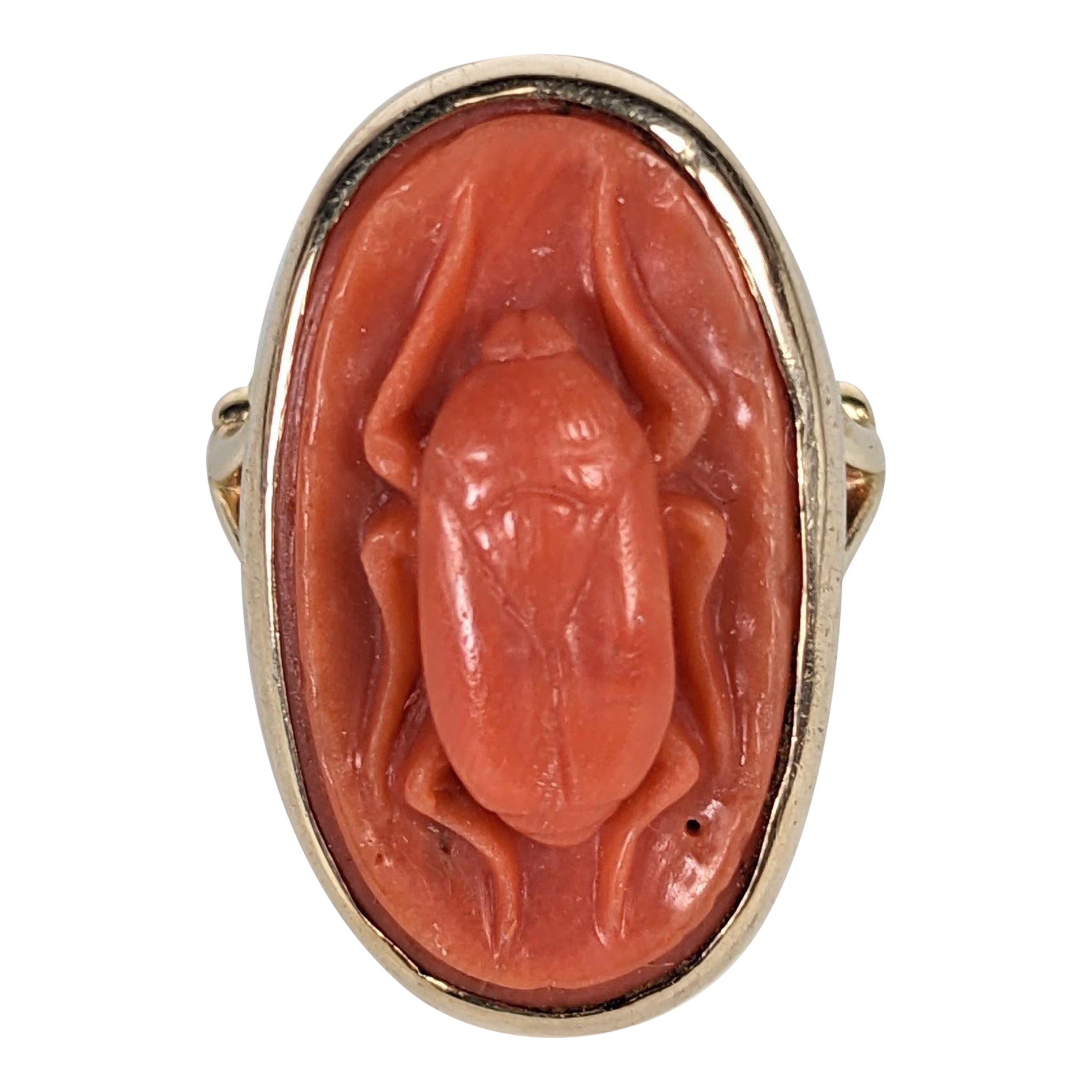 Unusual Coral Scarab Ring For Sale