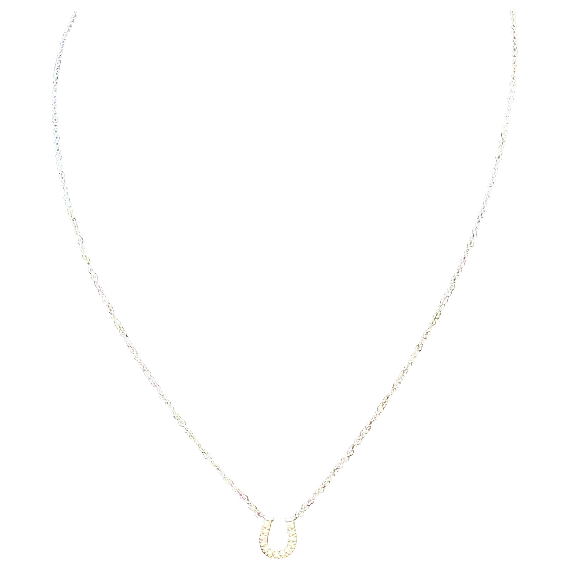 Tiffany & Co. Horseshoe 18P Diamond Necklace 16" 18 Karat White Gold Authentic