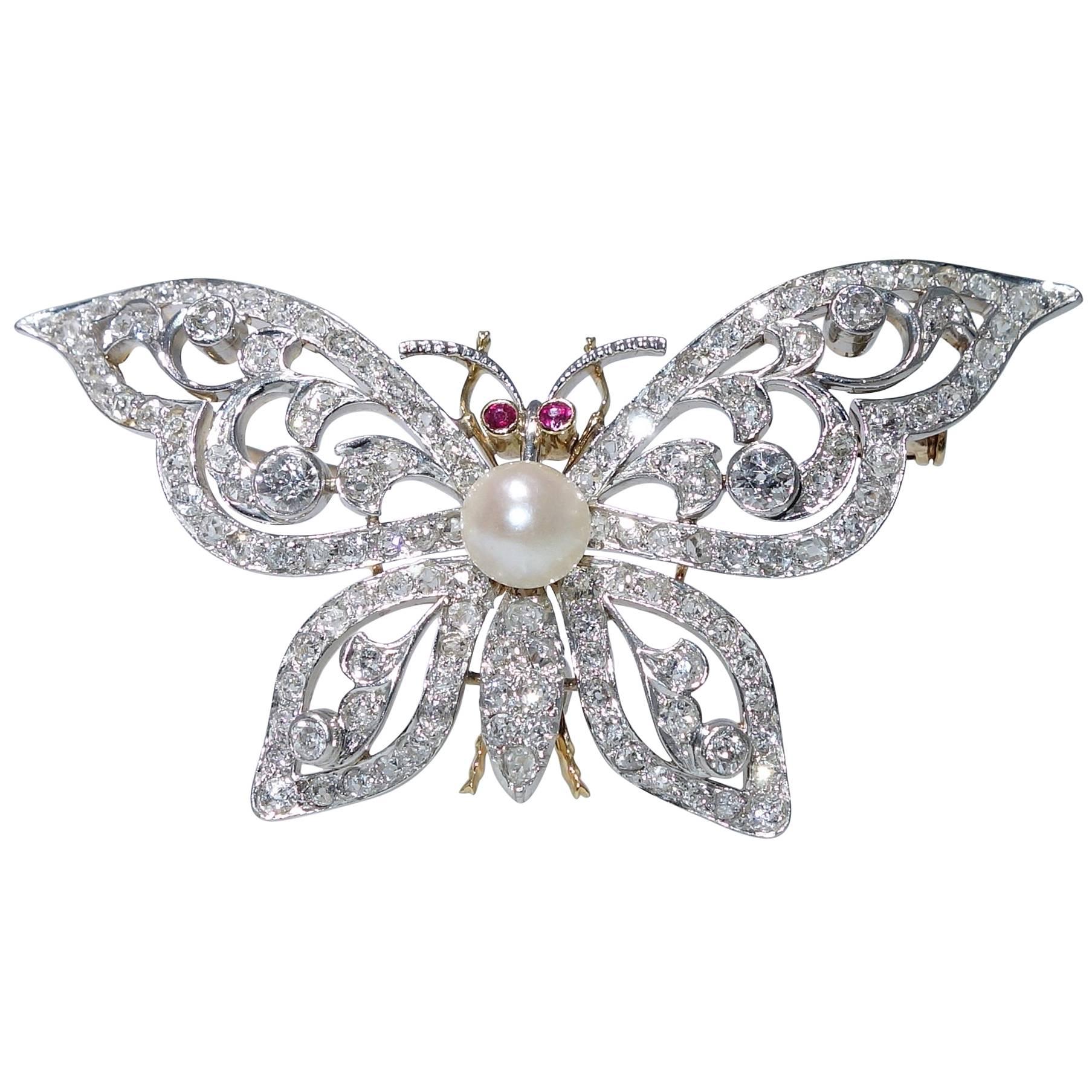 Antique Edwardian pearl diamond ruby gold platinum butterfly