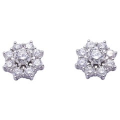 Earrings in White Gold and Diamonds