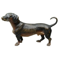 Perro Teckel Bergmann Firmado Raro Austriaco Vienna Bronze 6 Pulgadas Circa 1900