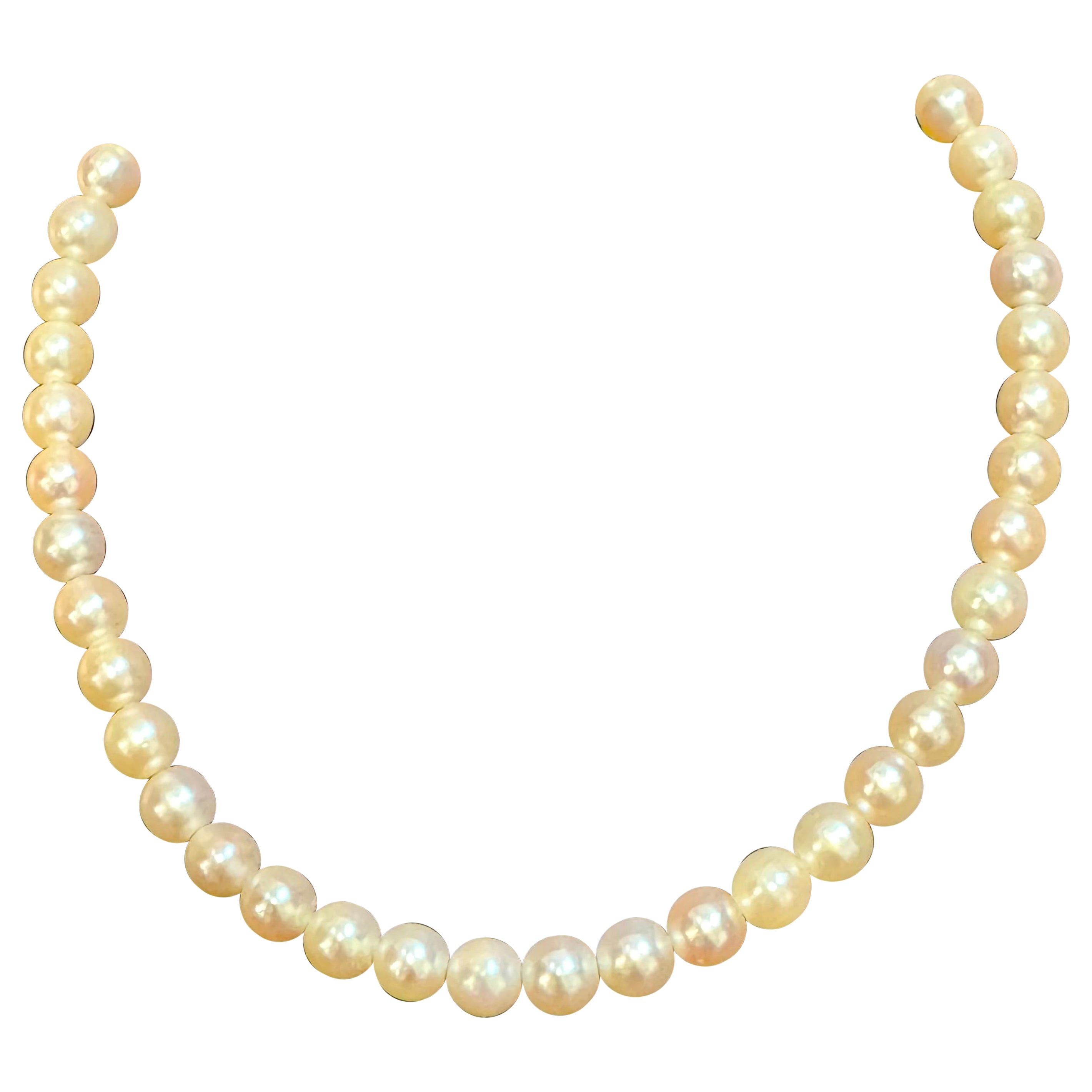 Vintage Cultured Akoya Pearl  Necklace Length 14" , 18 Karat Yellow Gold Clasp