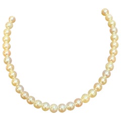 Vintage Cultured Akoya Pearl  Necklace Length 14" , 18 Karat Yellow Gold Clasp