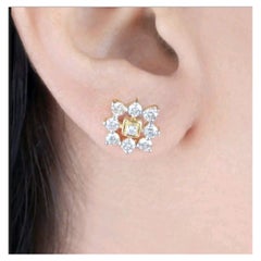 Certified Diamond Square Shape Stud Earring für Frauen 14K Solid Gold Ohrringe