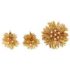 Tiffany & Co. Anemone 18K Yellow Gold 0.70ct Diamond Earrings and Brooch Set