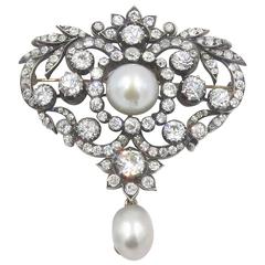 Antique Belle Epoque Louis XV Style Diamond Pearl Brooch 1